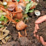Community compost bins: while organic waste feeds the soil, the city reduces its pollution